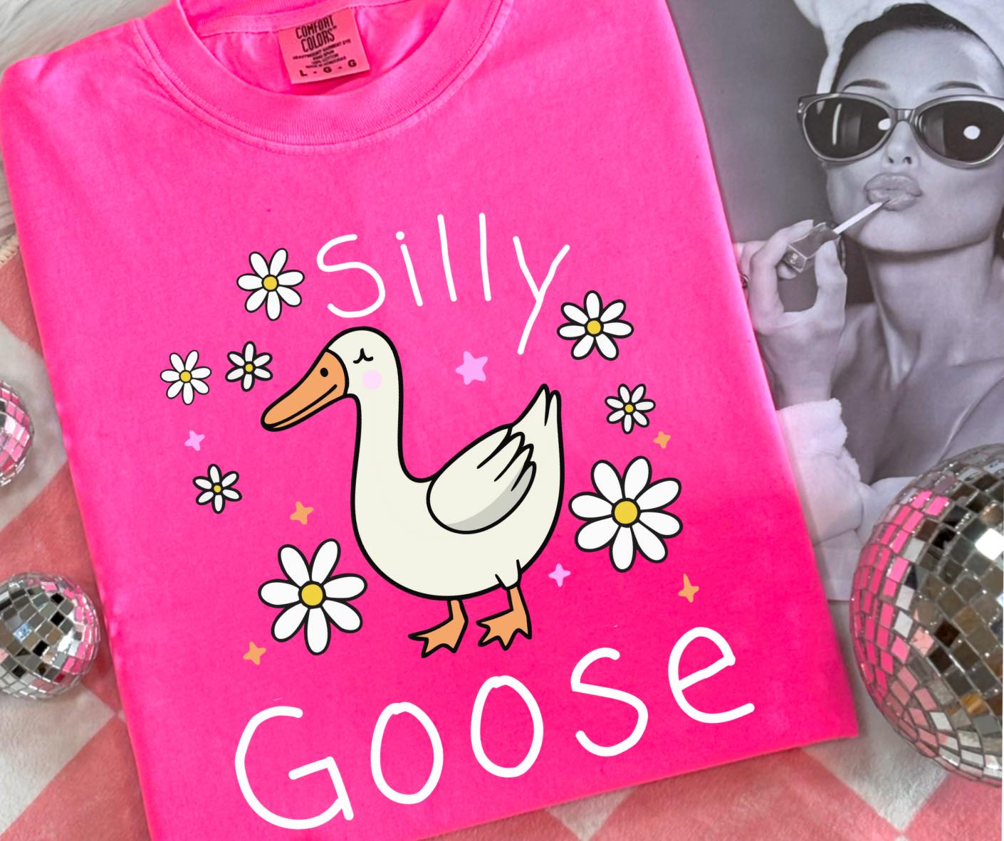 DTF TRANSFER ONLY - Silly Goose