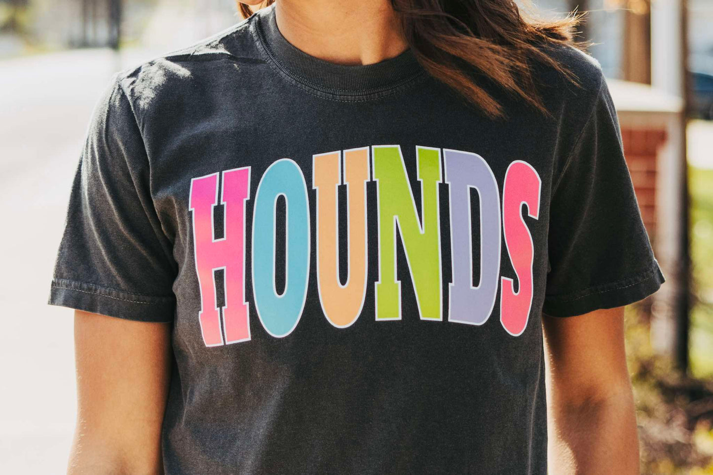 DTF TRANSFER ONLY -HOUNDS Varsity Letters