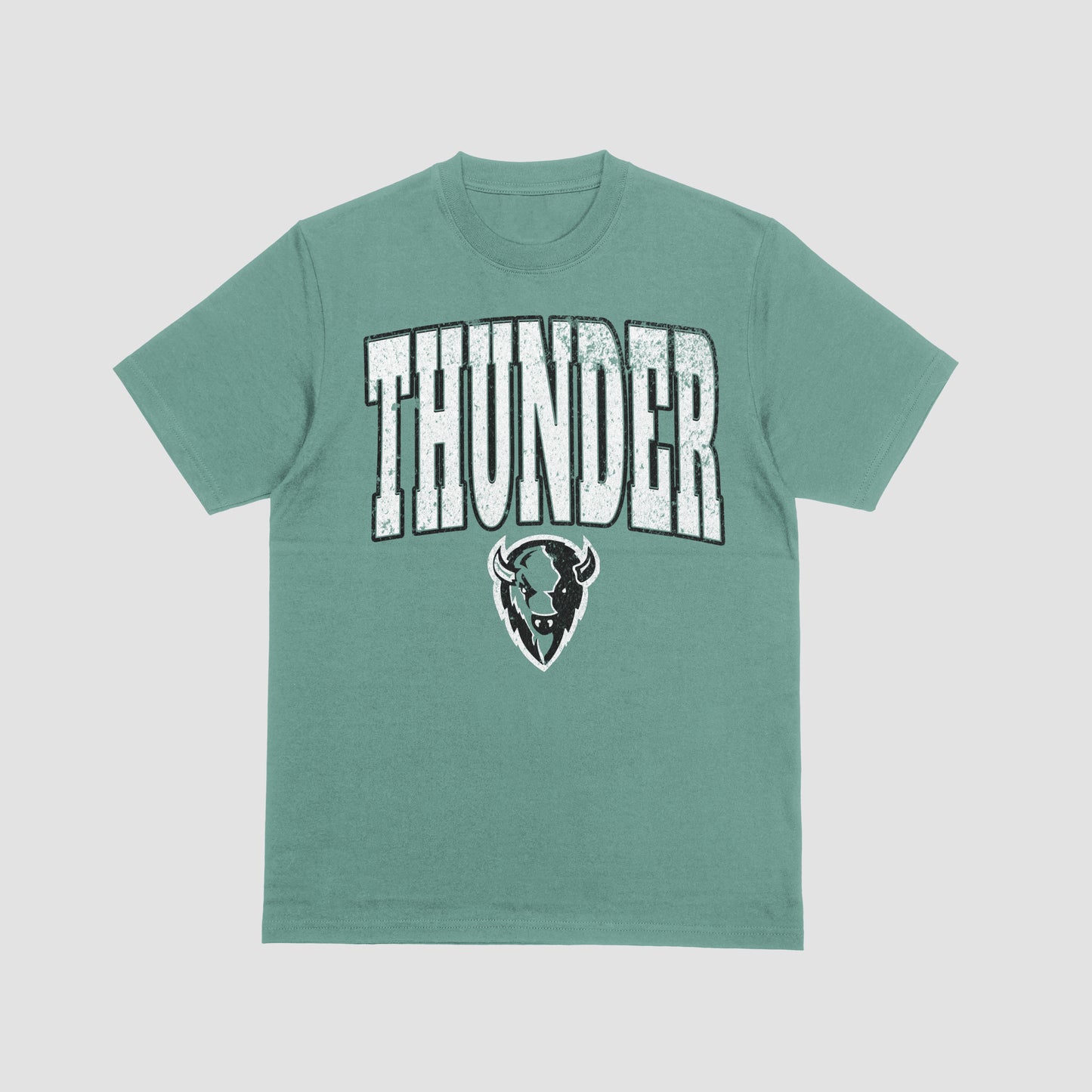 DTF TRANSFER ONLY - White Distressed Thunder Mascot