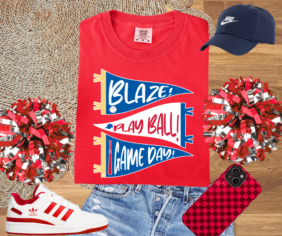 DTF TRANSFER ONLY - 3 Blaze Pennants#2