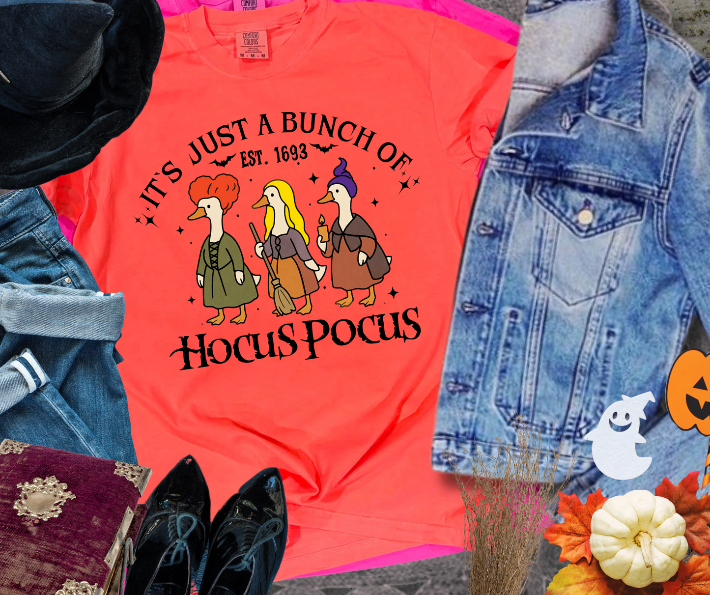 DTF TRANSFER ONLY - Sanderson Sister Geese