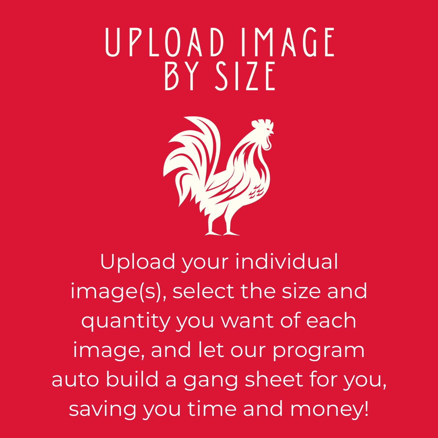 Upload Image(s) By Size