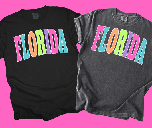 DTF TRANSFER ONLY -FLORIDA Varsity Letters