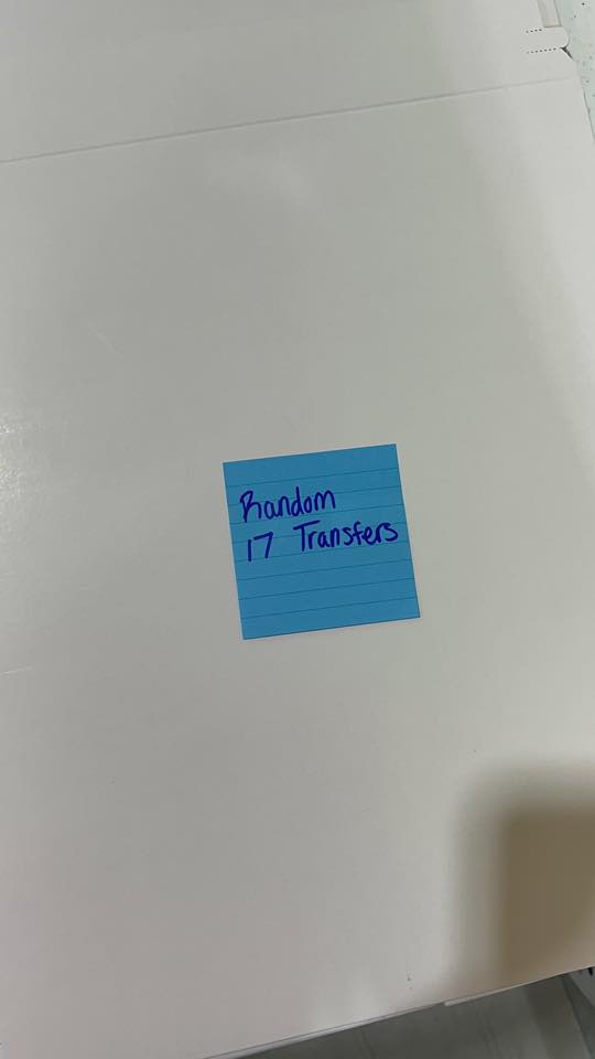 Mystery Random Transfer Packs - 17 Transfers per pack