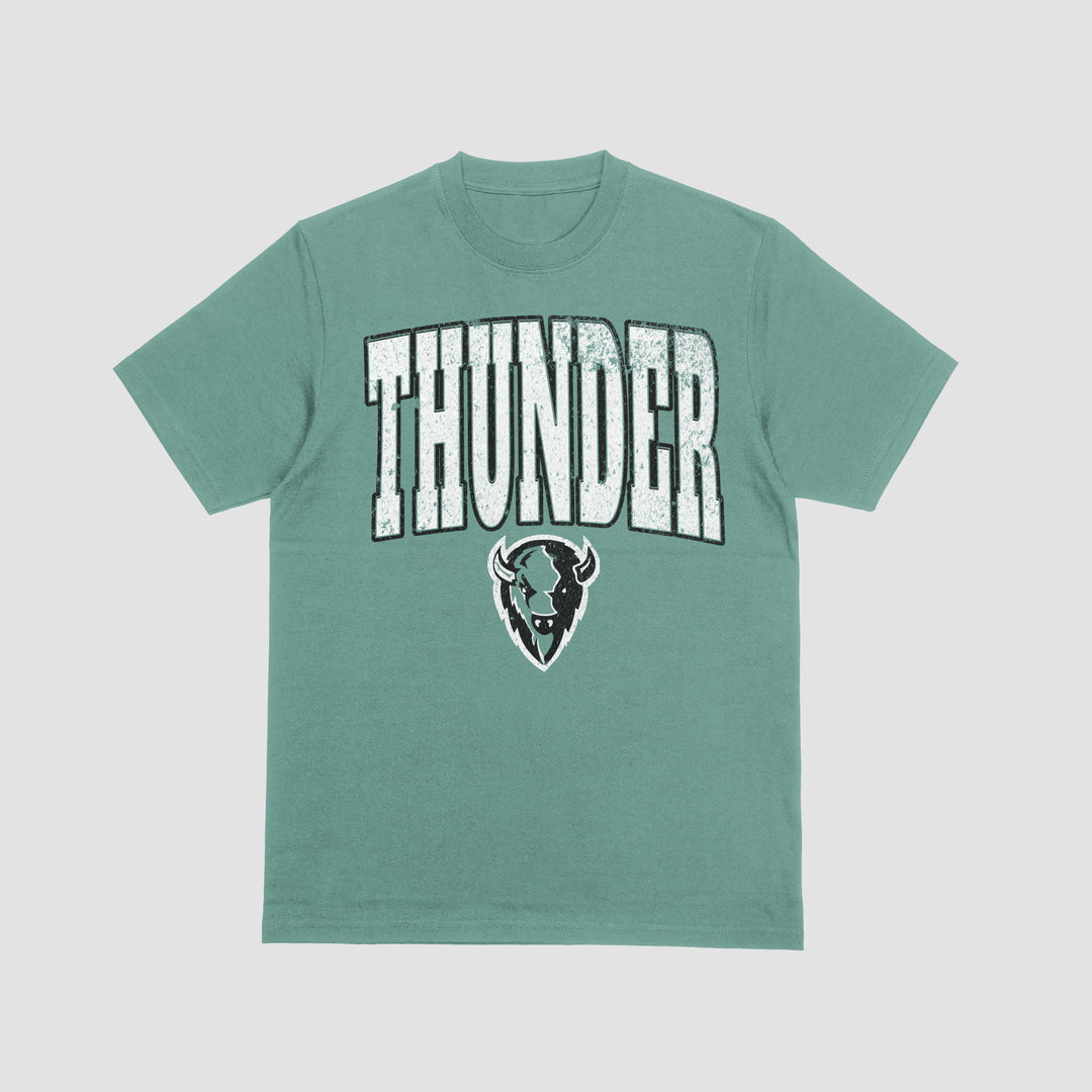 DTF TRANSFER ONLY  - White Distressed Thunder Mascot