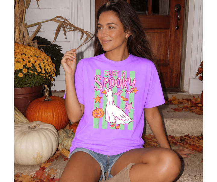 DTF TRANSFER ONLY - Just a Spooky Goose