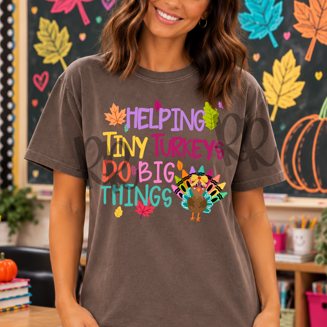 DTF TRANSFER ONLY  - Helping Tiny Turkeys Do Big Things