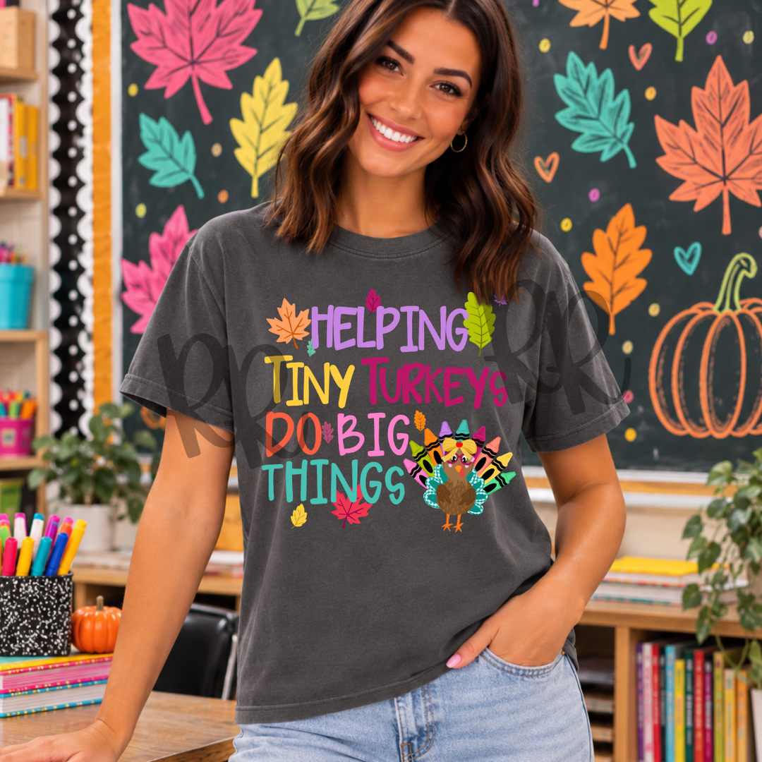 DTF TRANSFER ONLY  - Helping Tiny Turkeys Do Big Things