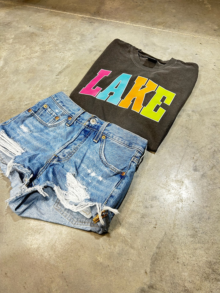 DTF TRANSFER ONLY -LAKE Varsity Letters