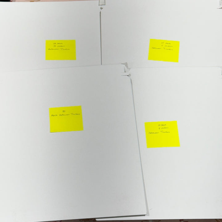 Halloween Mystery Transfer Packs - 20 Transfers per pack