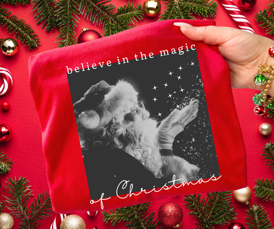 DTF TRANSFER ONLY  - Believe In the Magic of Christmas