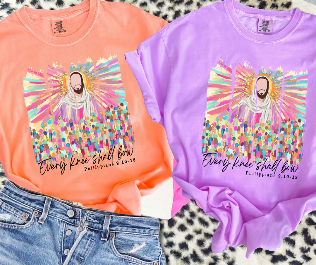 DTF TRANSFER ONLY  - Colorful Every Knee Shall Bow